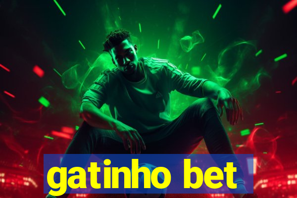 gatinho bet